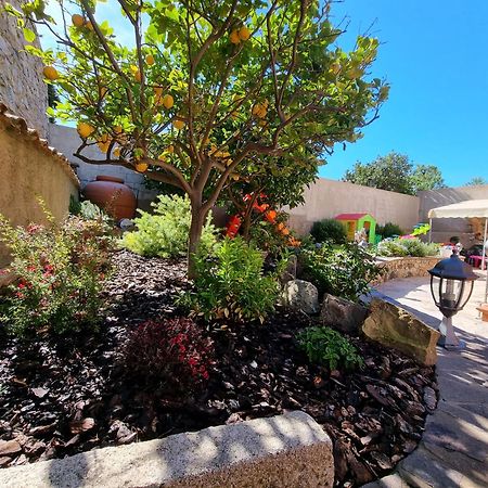 B&B Villa Martina 萨尔达拉 外观 照片