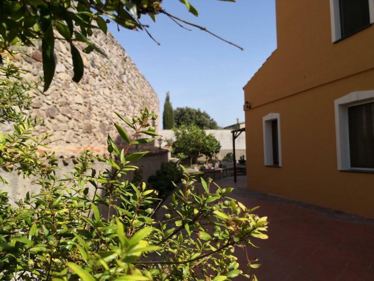 B&B Villa Martina 萨尔达拉 外观 照片